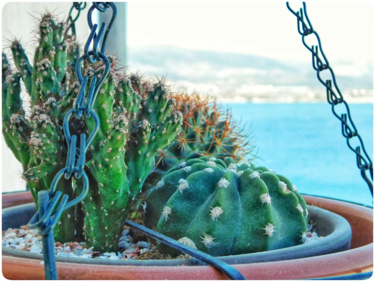 Littlevenice Appartme 50M From Sea Trogir Kültér fotó