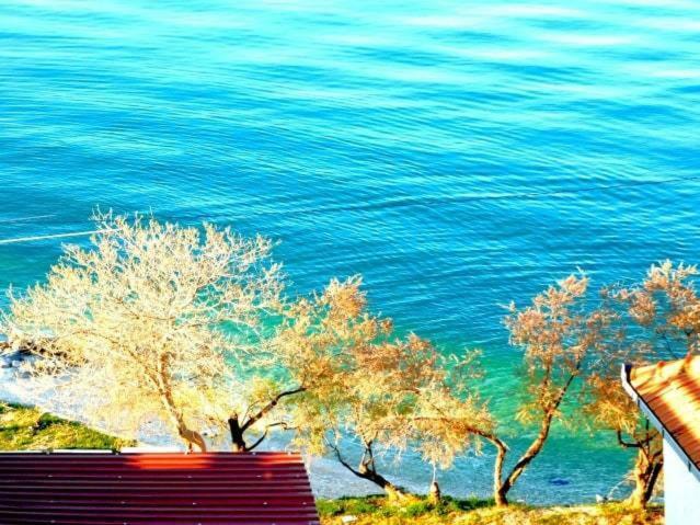 Littlevenice Appartme 50M From Sea Trogir Kültér fotó
